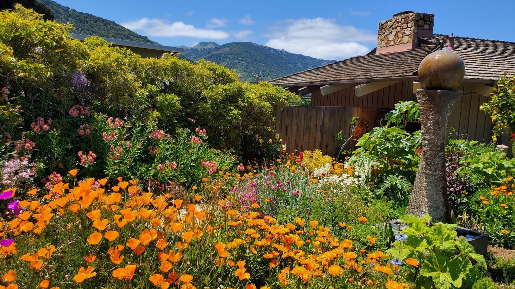 Carmel Valley Lodge Exterior foto